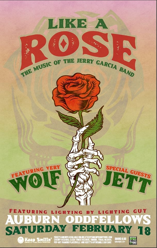 Like a Rose - Auburn