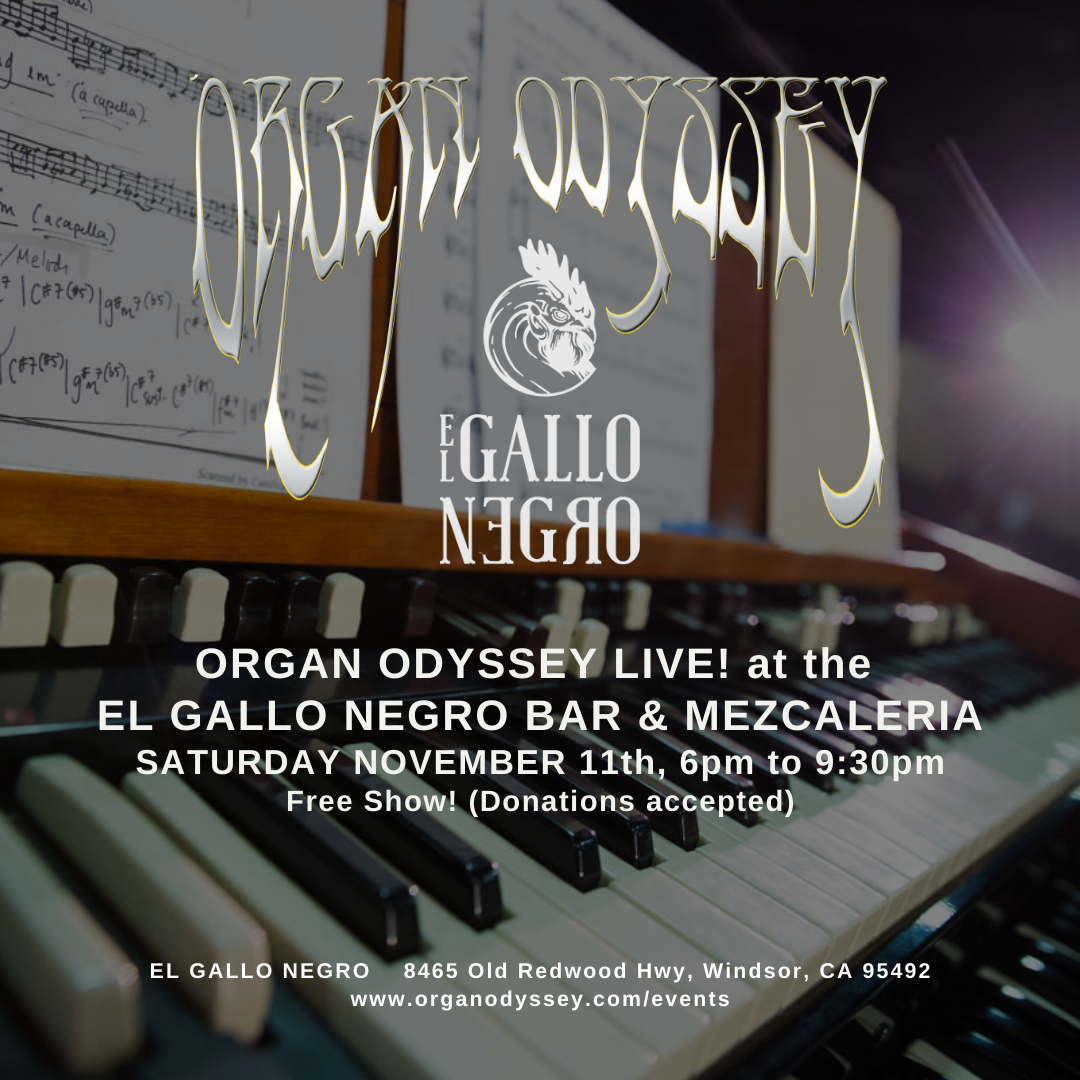 Organ Odyssey at El Gallo Negro